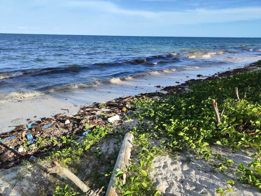 Zanzibar cons - trash on the beach