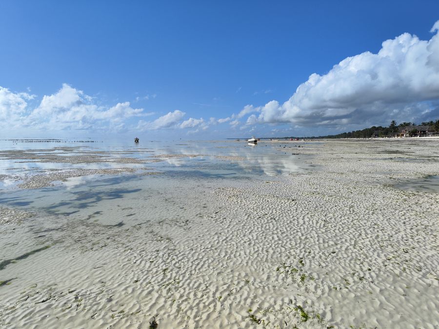 Paje Zanzibar guide - Paje beach at low tide