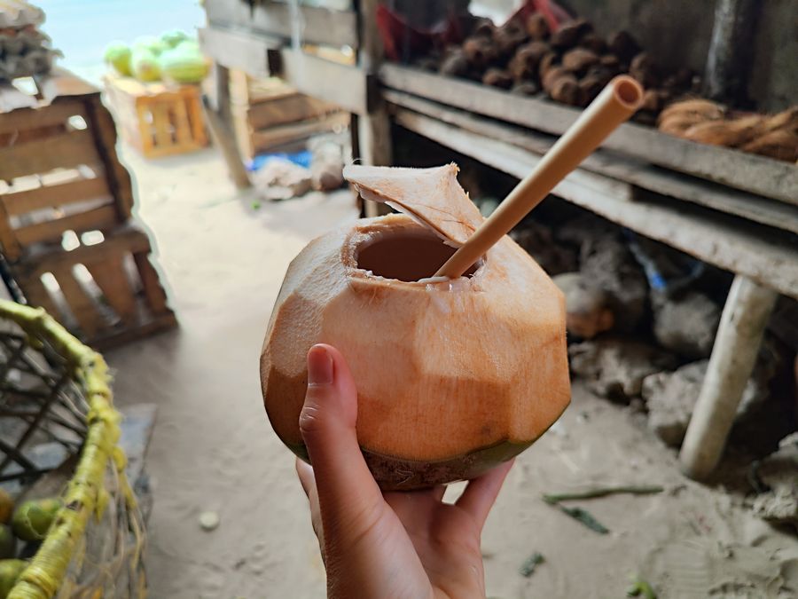 Paje Zanzibar guide - a young coconut