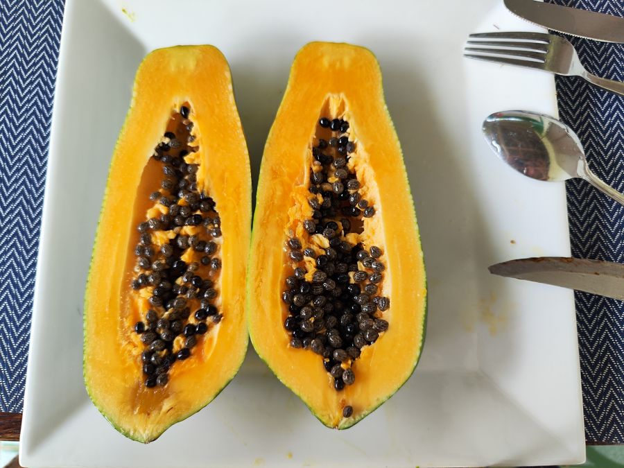 Paje Zanzibar guide - papaya