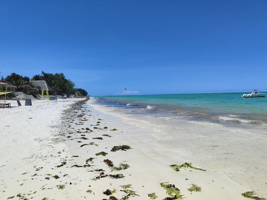 top 10 Zanzibar beaches to visit - Paje beach low tide (7)