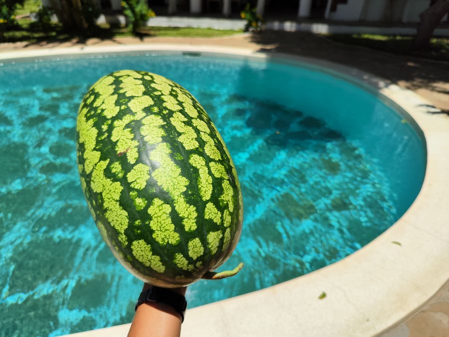 top reasons to visit Kenya watermelon