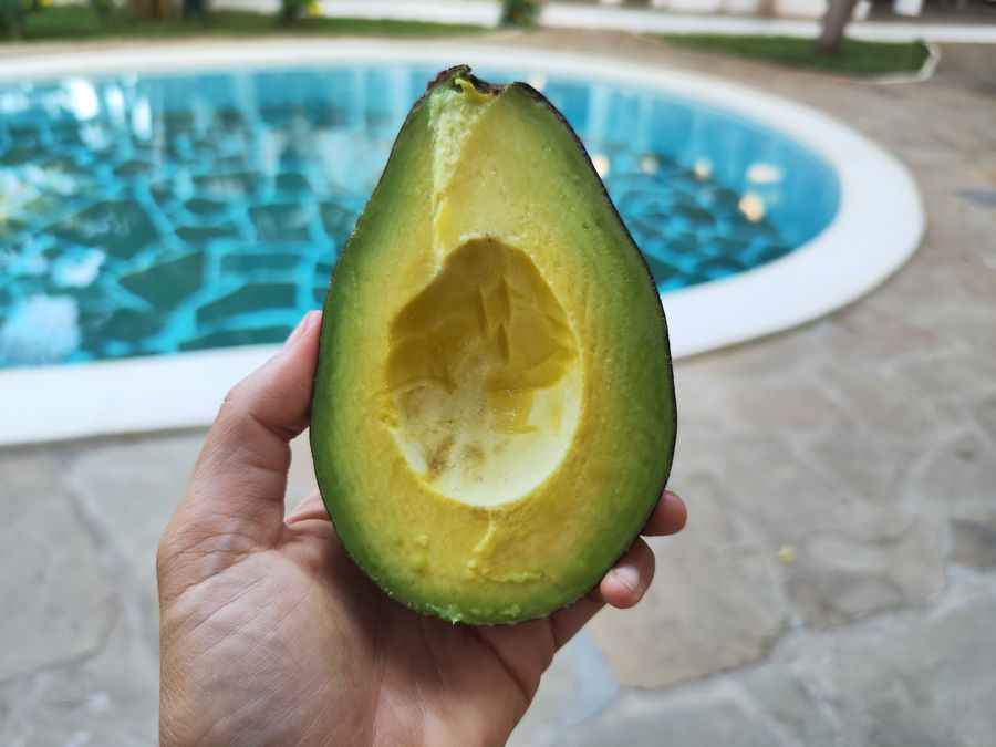 top reasons to visit Kenya - yummy cheap avocado in Kenya